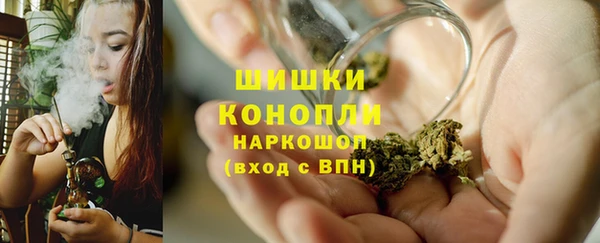 прущие грибы Волоколамск
