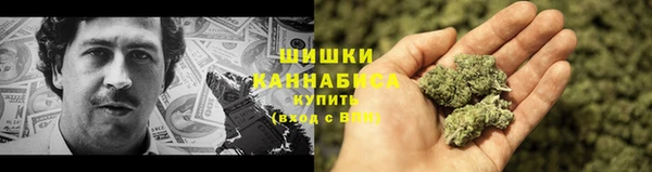 прущие грибы Волоколамск