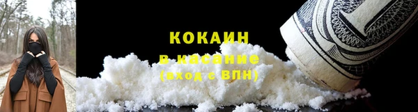 прущие грибы Волоколамск