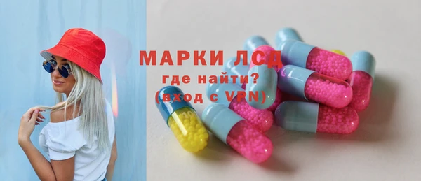 прущие грибы Волоколамск