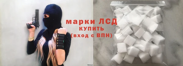прущие грибы Володарск