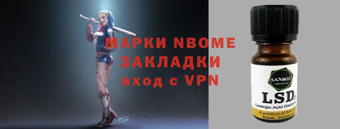 прущие грибы Володарск