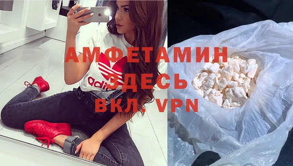 прущие грибы Володарск