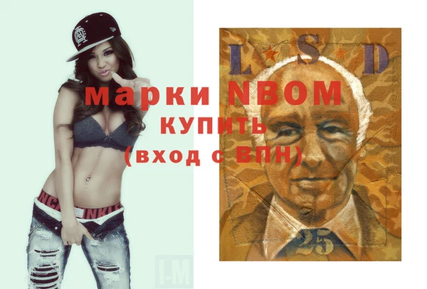 прущие грибы Волоколамск