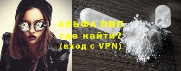 прущие грибы Володарск