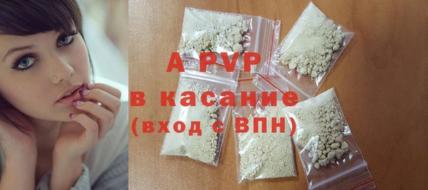 прущие грибы Волоколамск