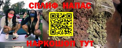 индика Заволжье