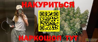 индика Заволжье