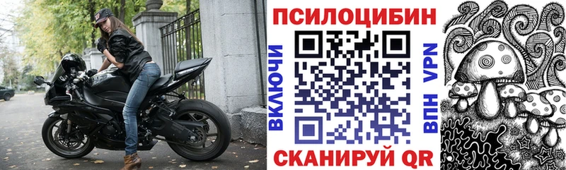 купить наркотик  Назарово  Галлюциногенные грибы Cubensis 
