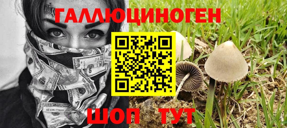 что такое наркотик  Вход с VPN  Псилоцибиновые грибы прущие грибы  Назарово  Галлюциногенные грибы Psilocybe 