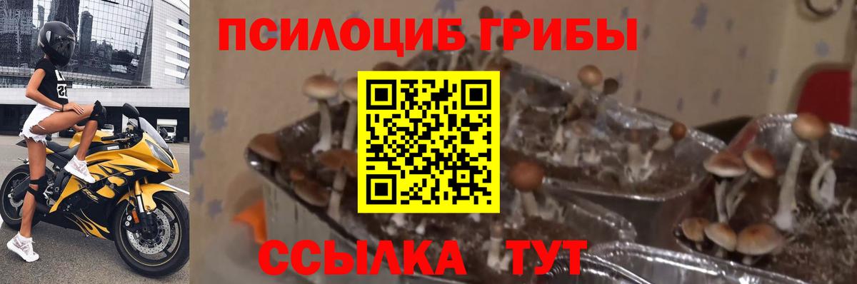 Галлюциногенные грибы ЛСД Назарово